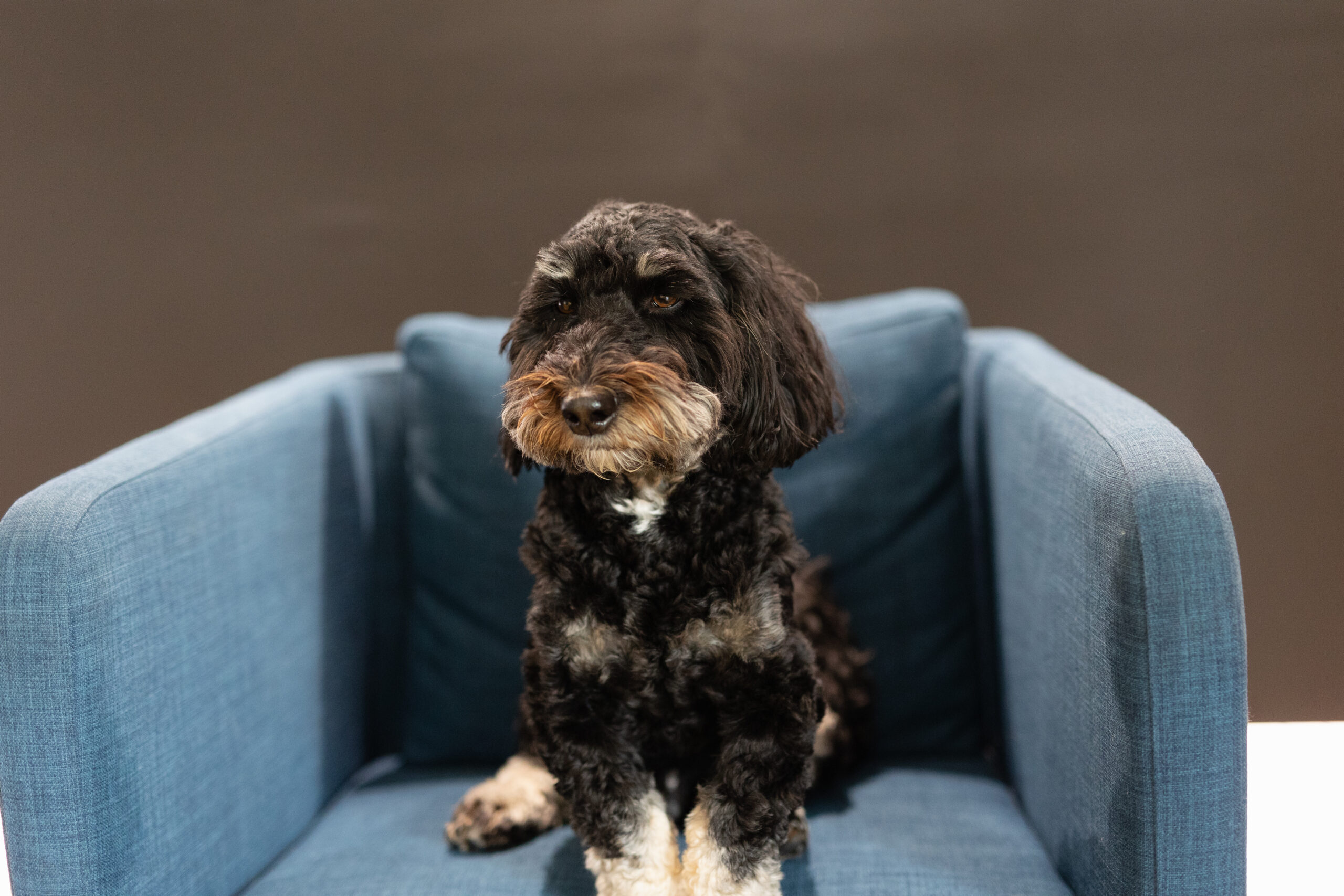 THEO HEADSHOT-7356